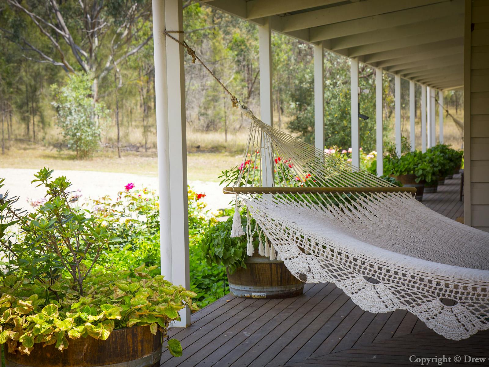 Relaxing hammocks
