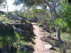 Pekina Creek Walking Trek
