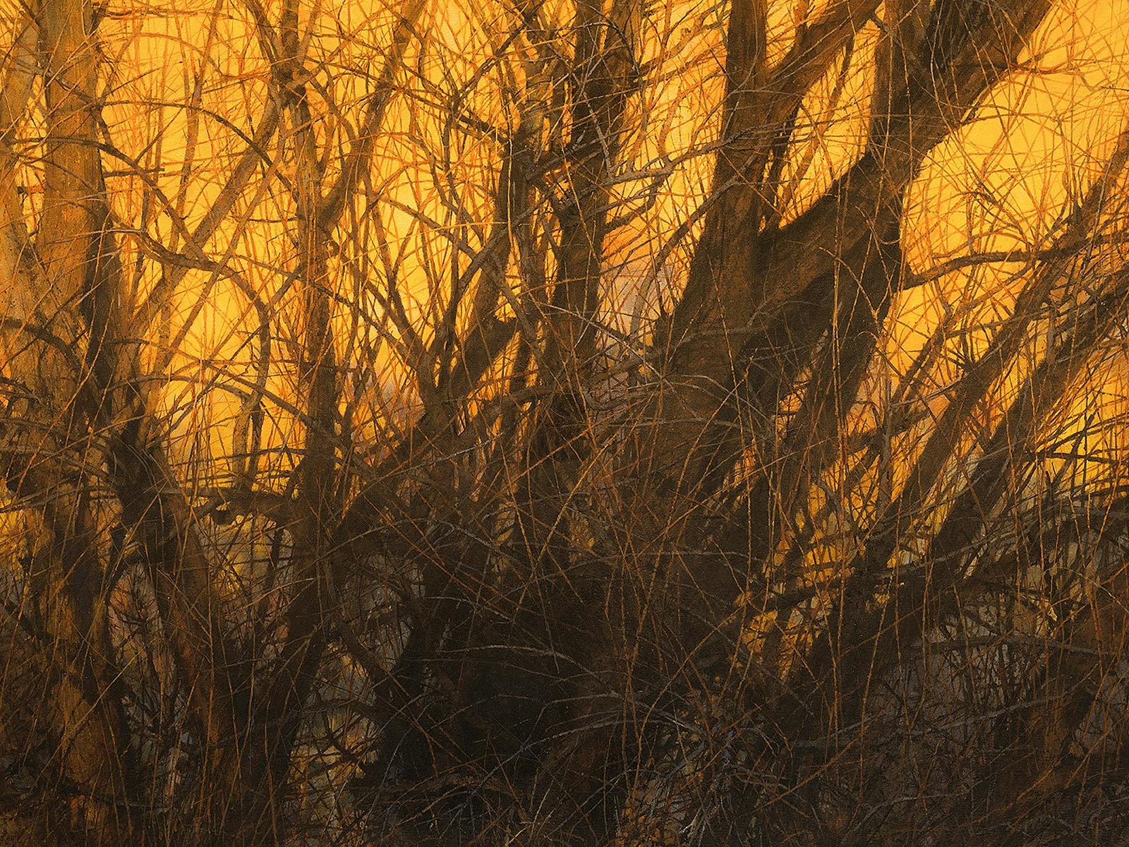 Graham Lupp, Tarana Willows, 2020, acrylic on canvas