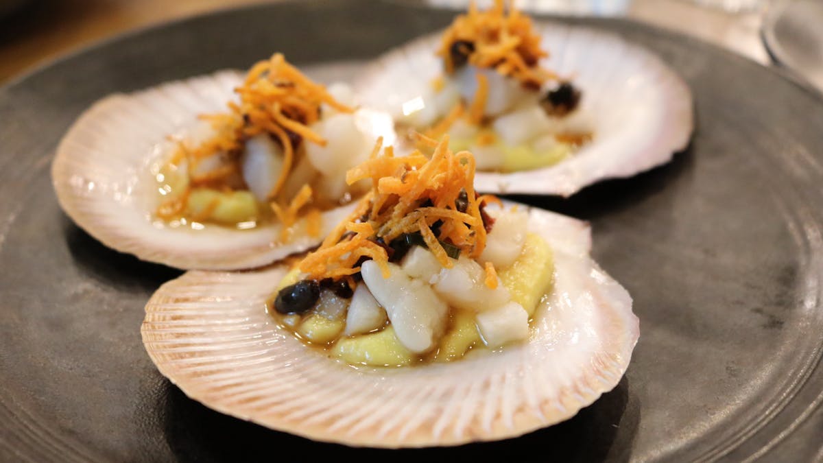 Hervey Bay Scallop. Fusion. Modern Asian Food. Yummy