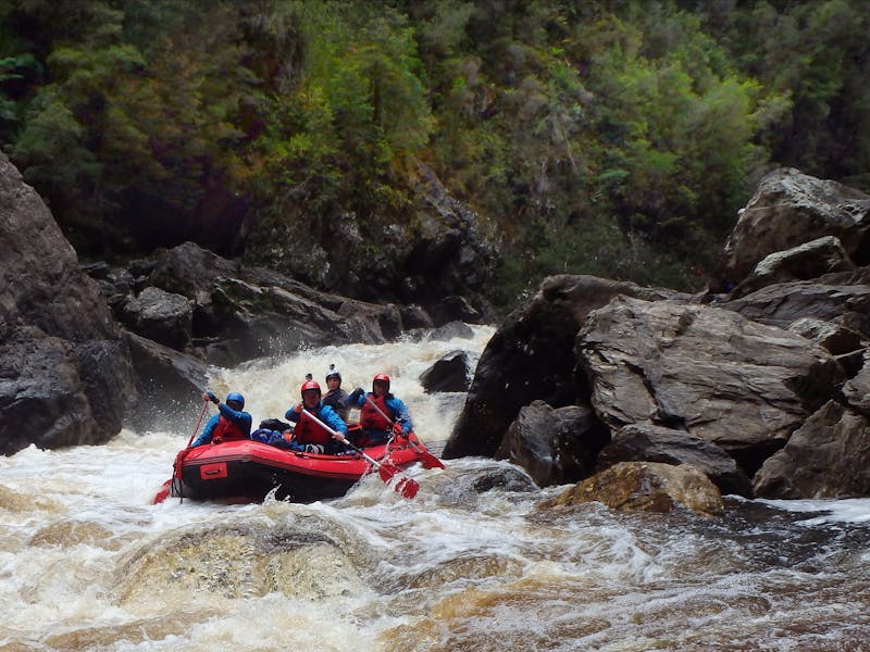 whitewater rafting action in the Great Ravine on the Franklin River in Tasmania