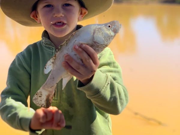 Windorah Yellowbelly Hunt