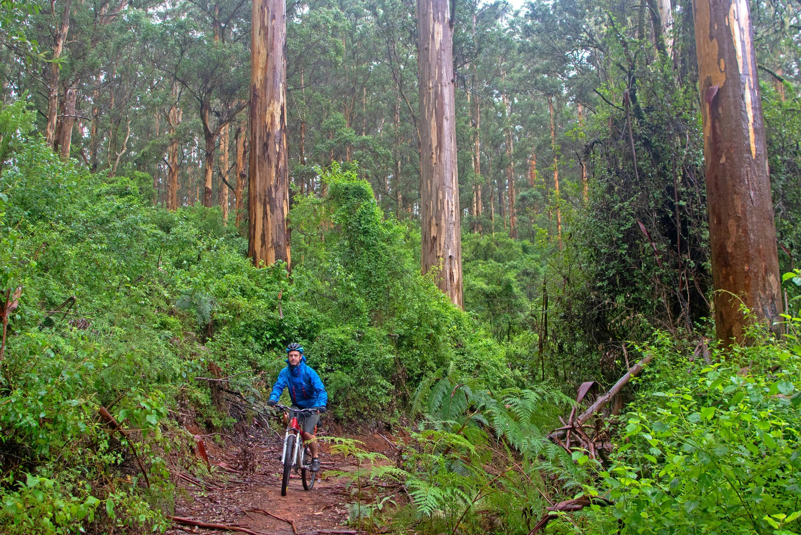 Munda Biddi Cycling Adventure