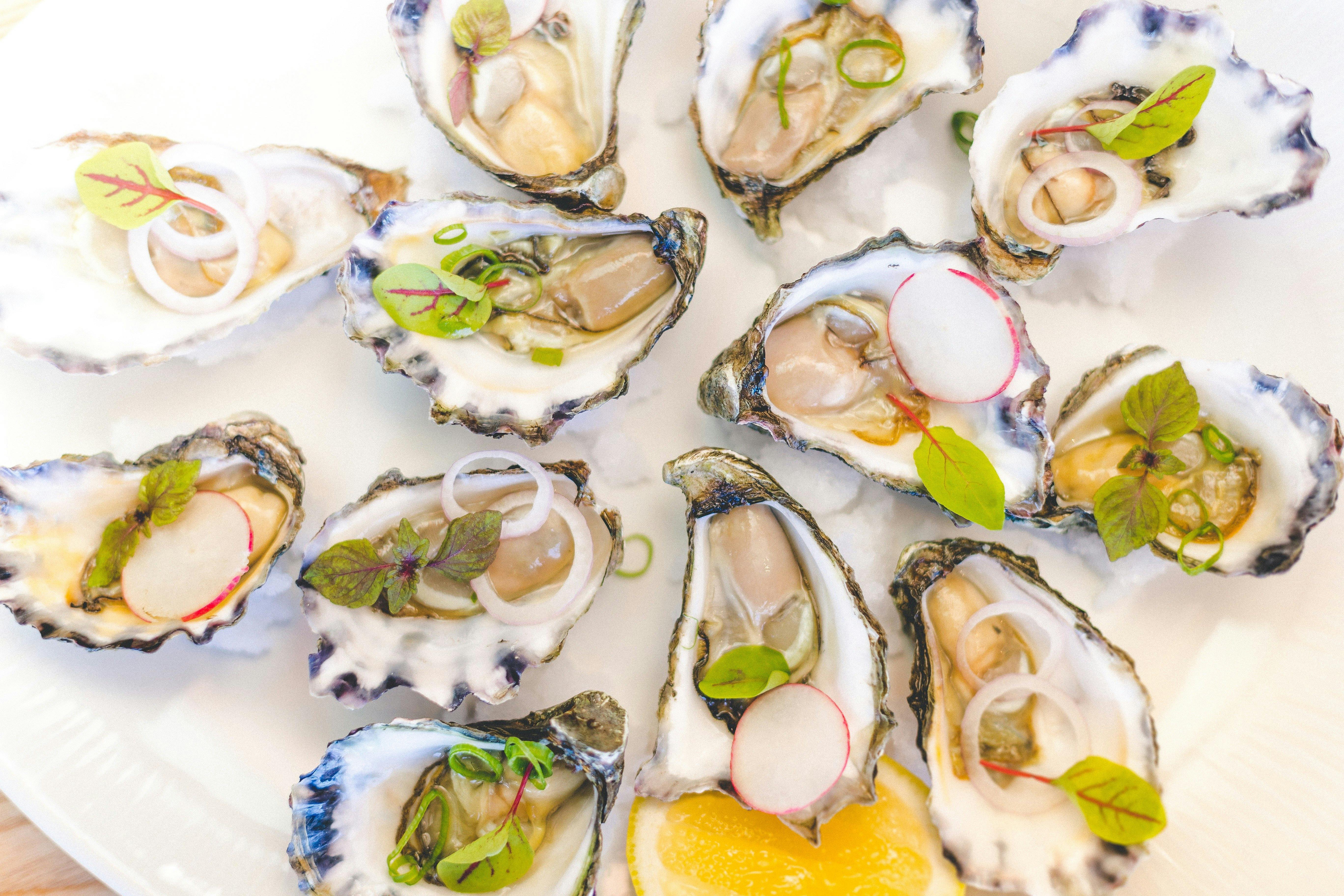 boathouse bar and restaurant