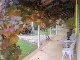 Amy's House Bed and Breakfast