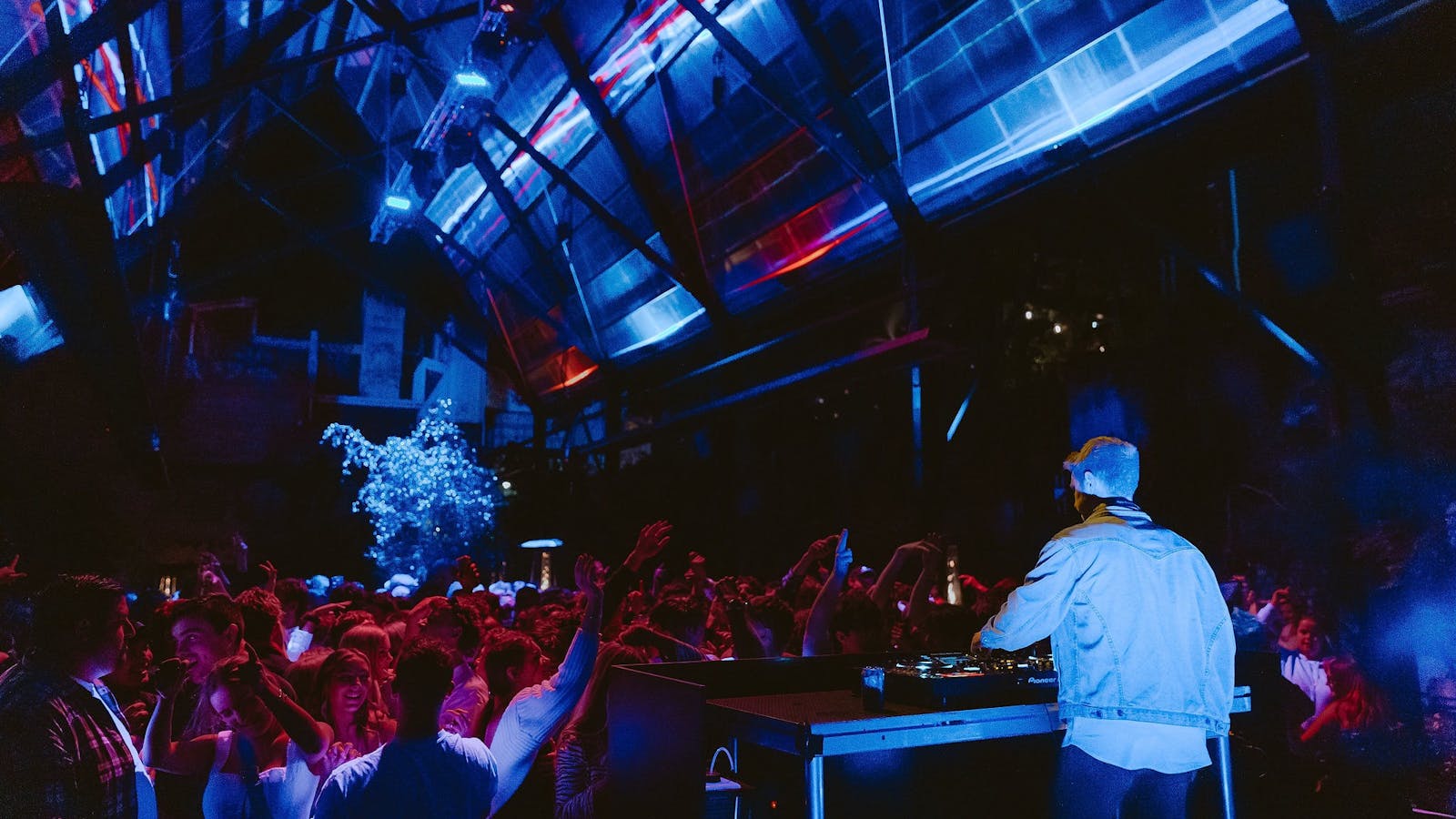 In The Hanging Garden