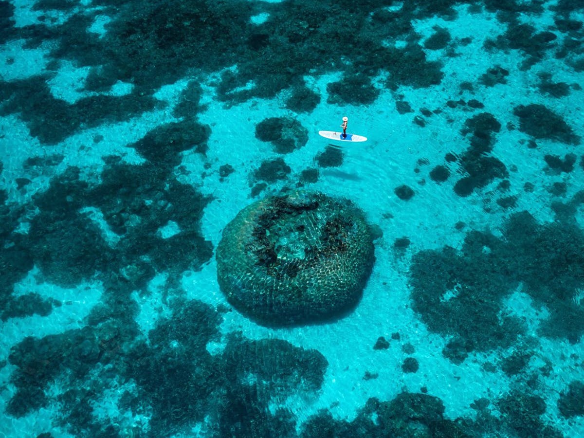 Wilson Island
