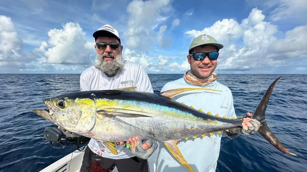Yellowfin Tuna