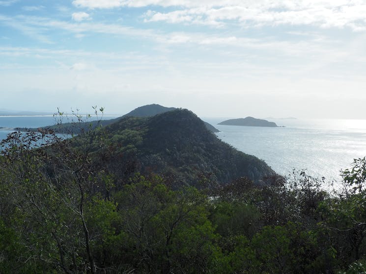 Hidden Paradise Guided Walk Nsw Holidays And Accommodation Things To