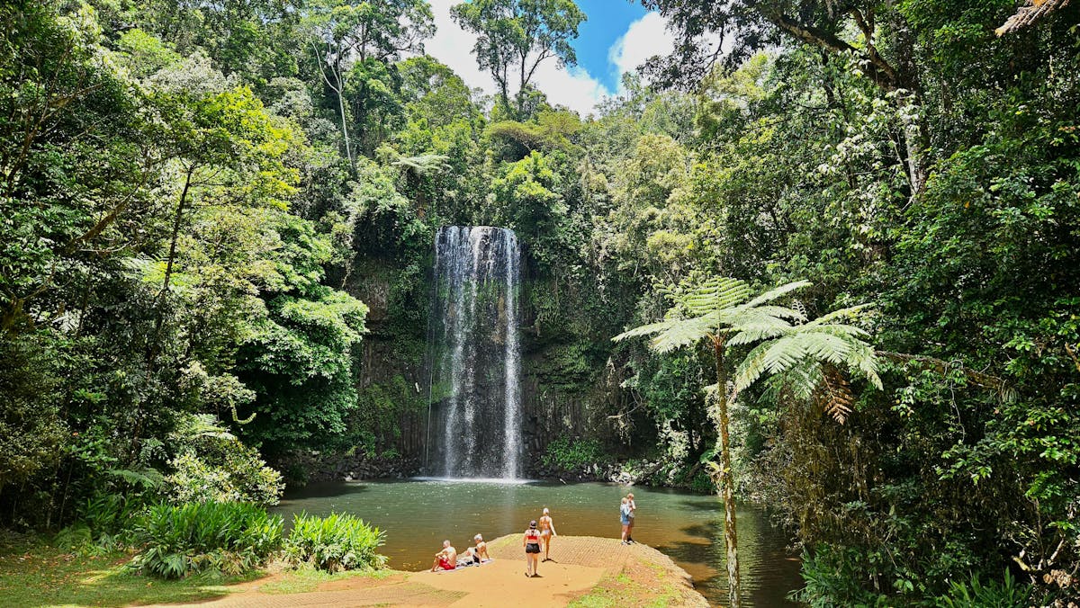 Milla Milla Falls - Discovery Tours Australia
