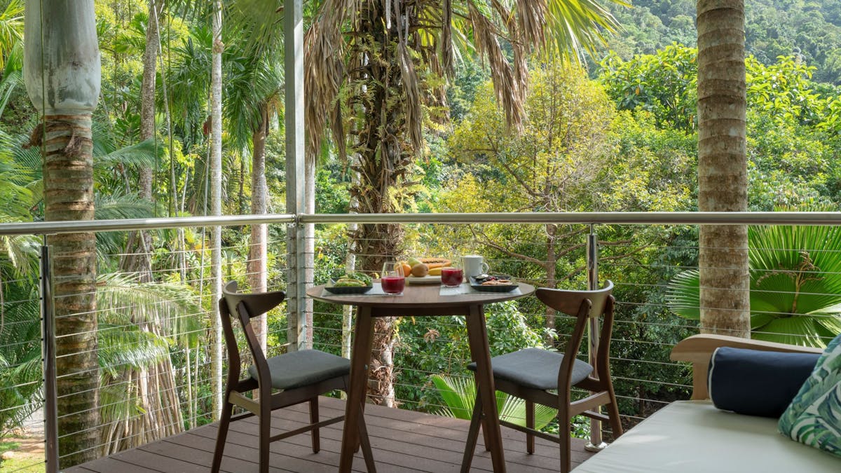 overlooking the rainforest