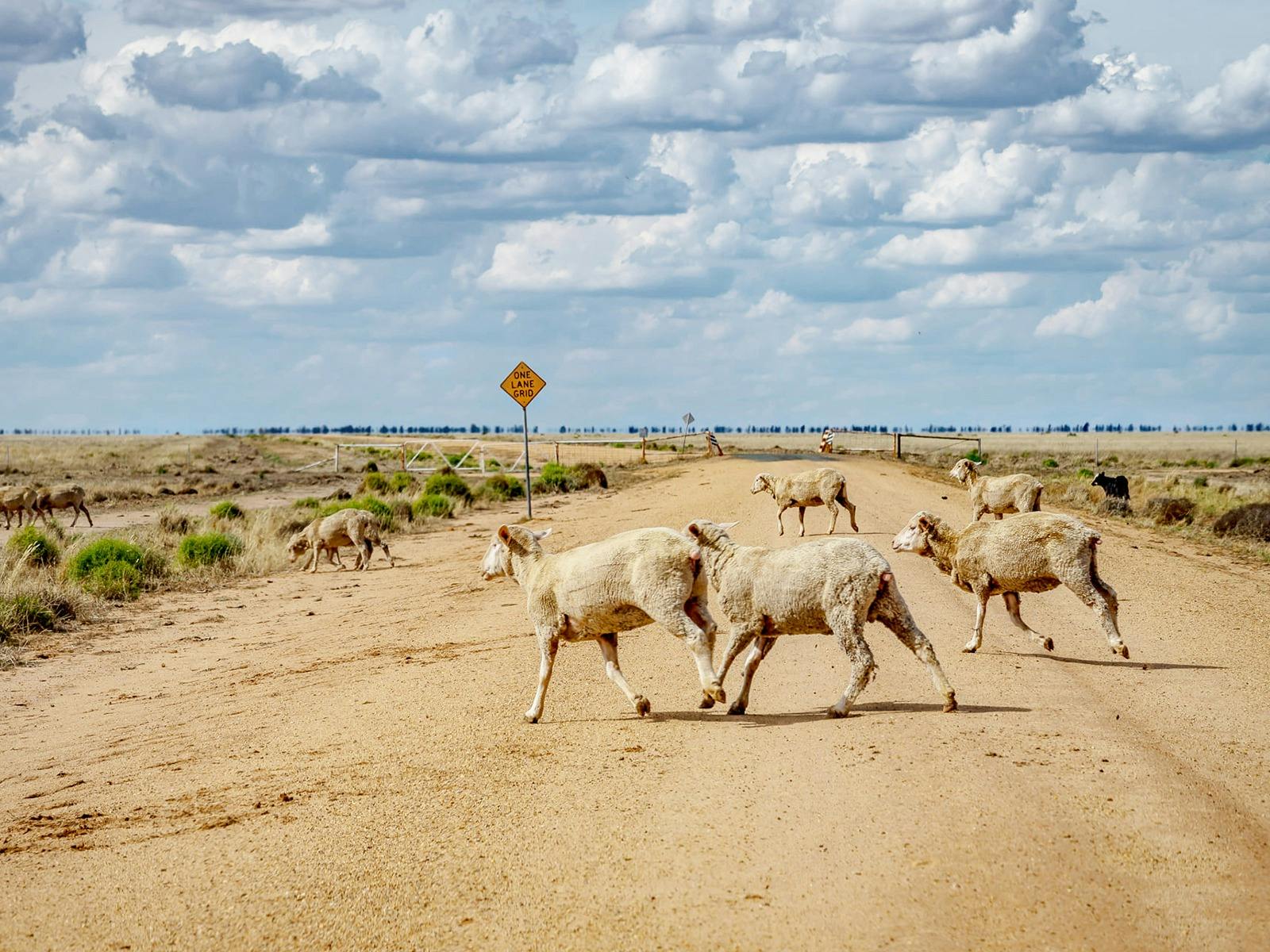 double crossing of Hay Plains