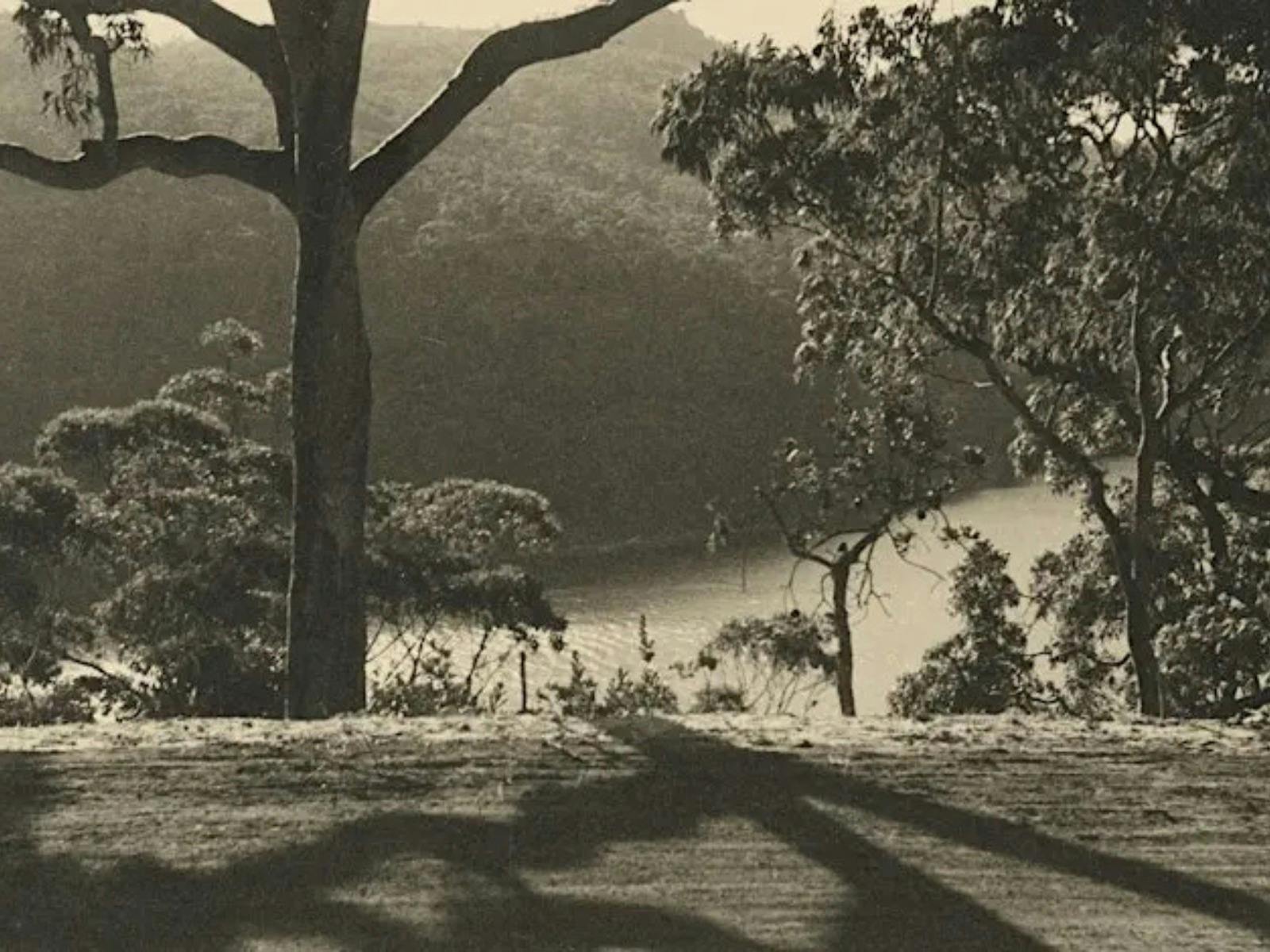 Exhibition Opening I Olive Cotton and her contemporaries