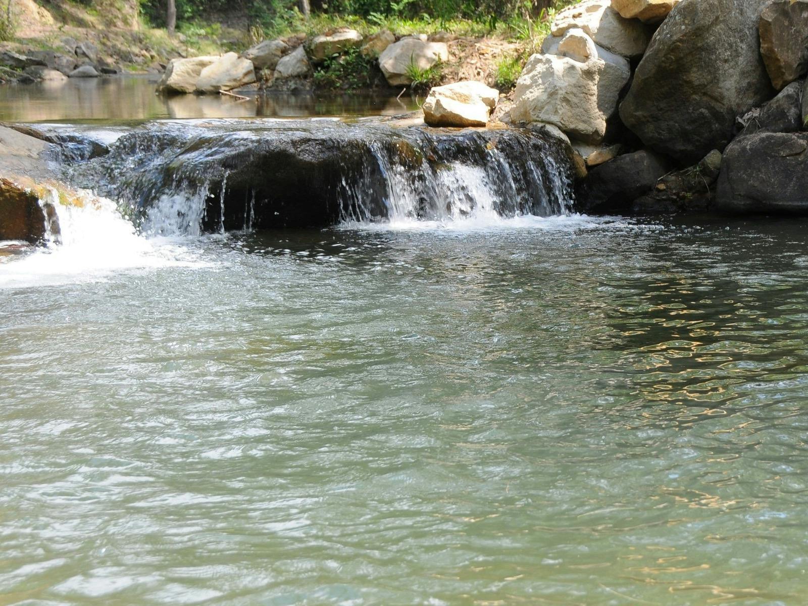 Nymboida Camping and Canoeing