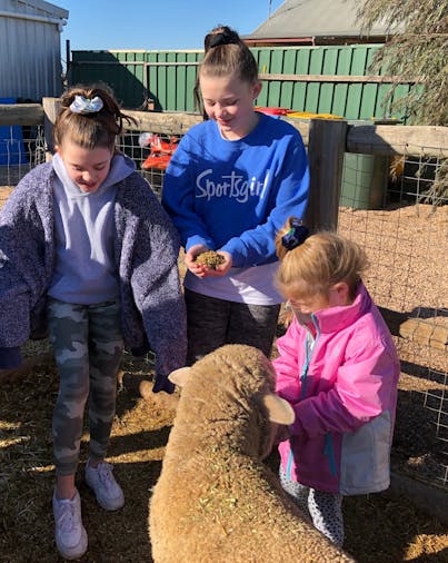 Tarnasey Farm Little Farmer Tours