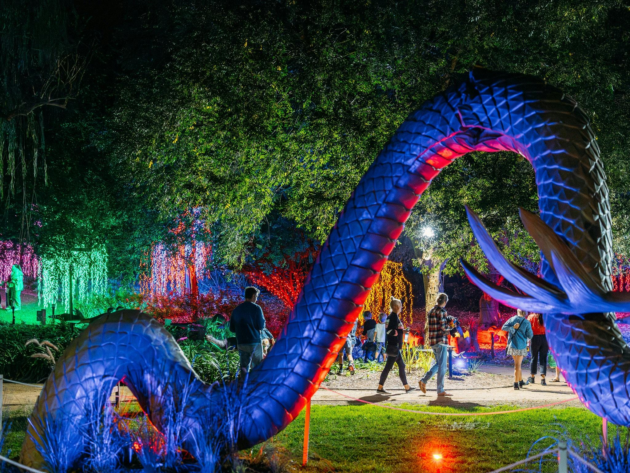 Mega Creatures Night Safari