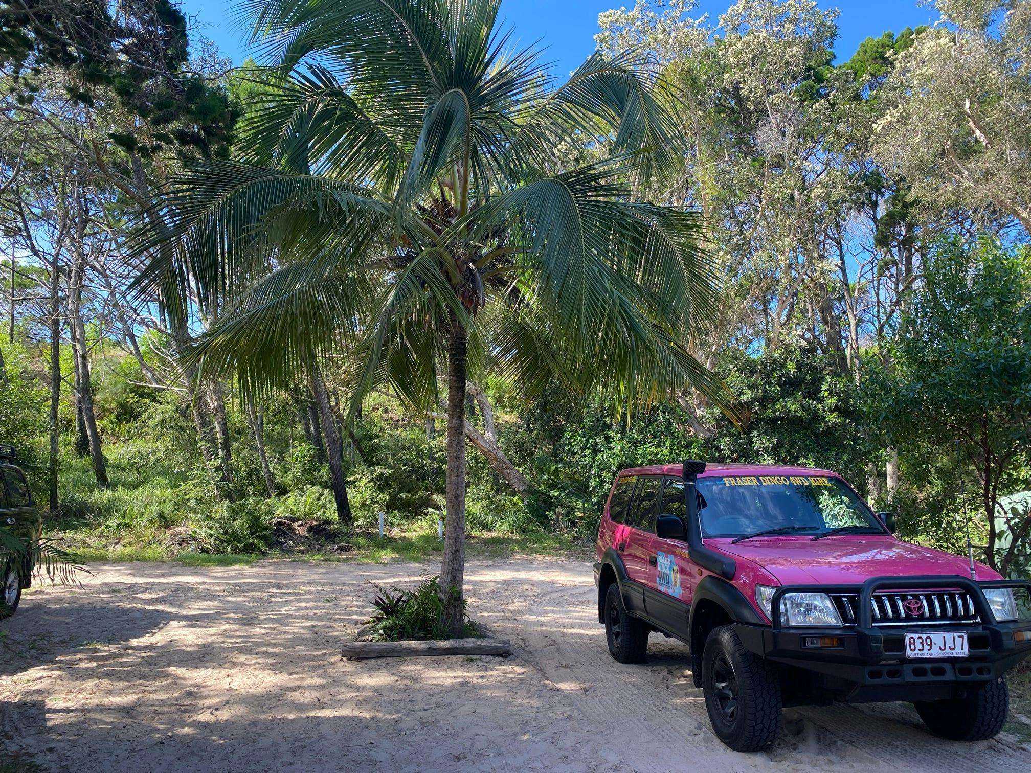 Pink 4WD