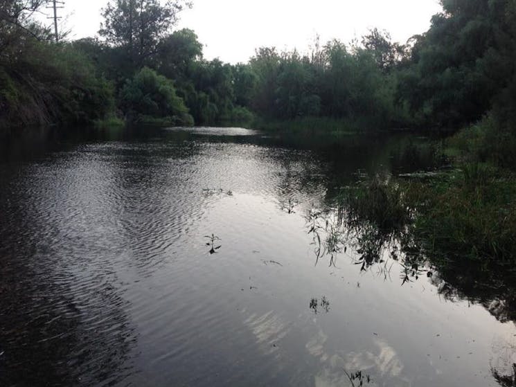 Barrington River