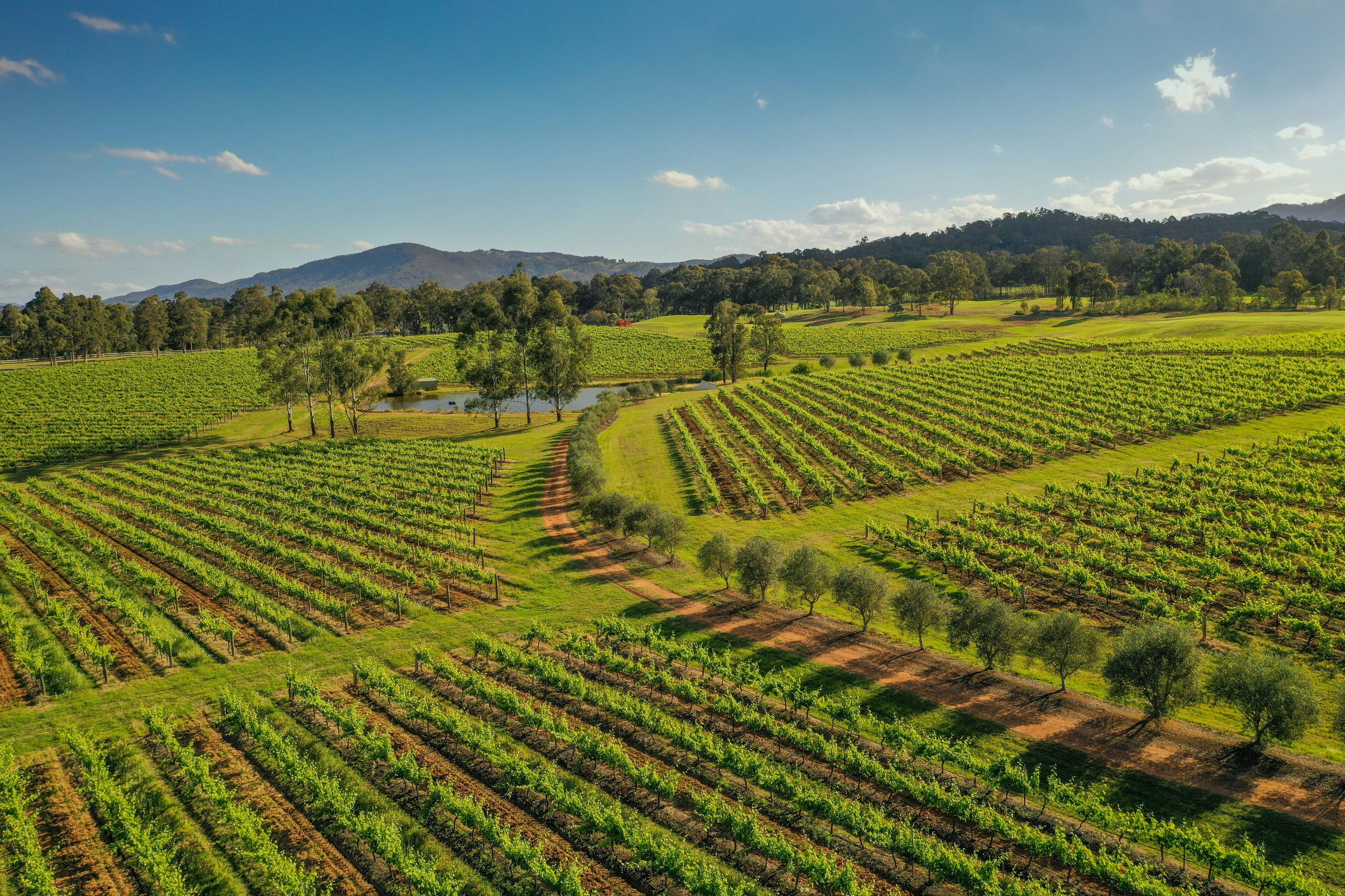 Hunter Valley