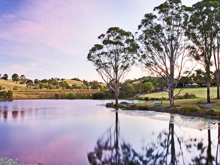 A photo of a sunset over the Australian Botanic Gardens Lakeside Lawn in Mt Annan.