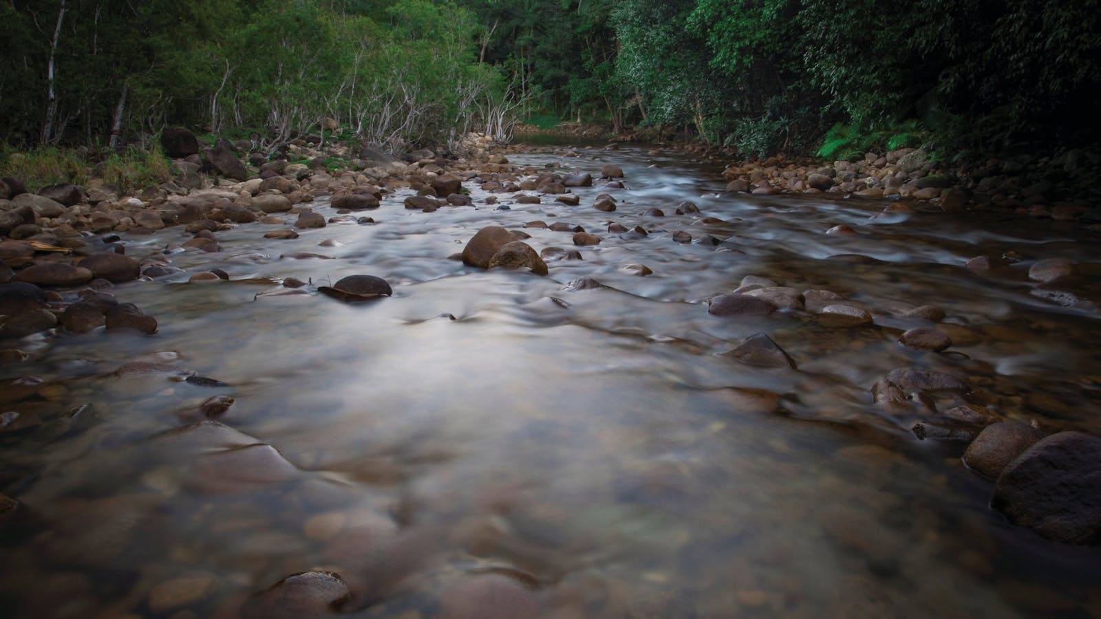 Eungella National Park
