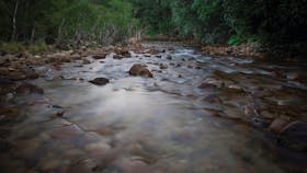Eungella National Park
