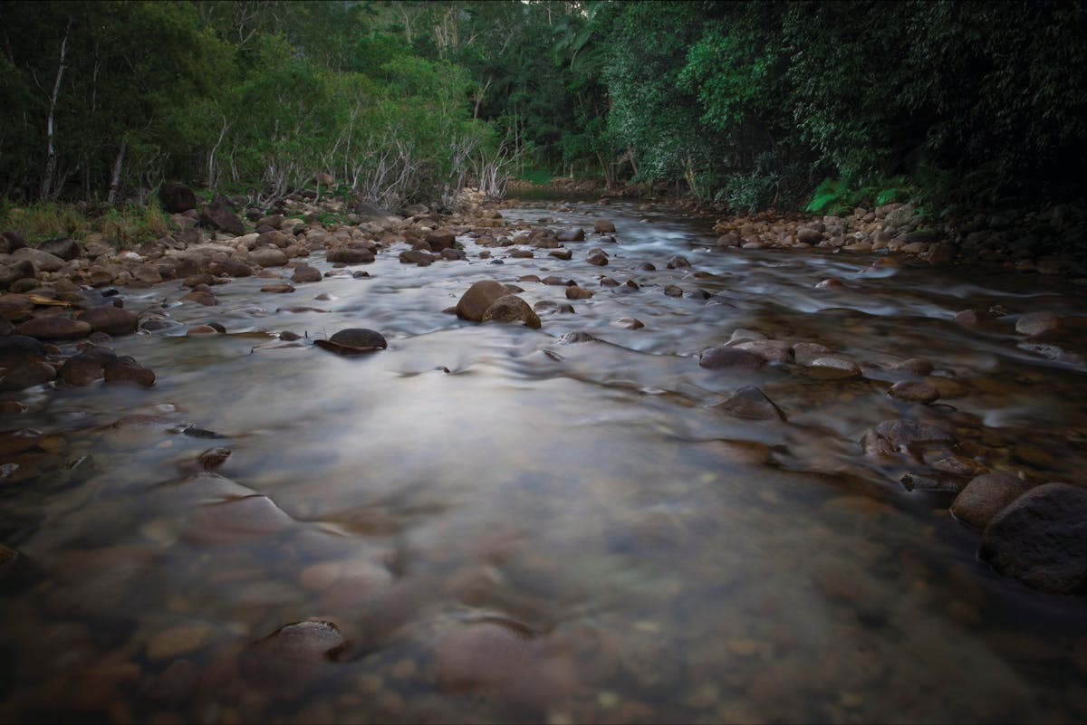 River with small boulders and rainforest on banks.