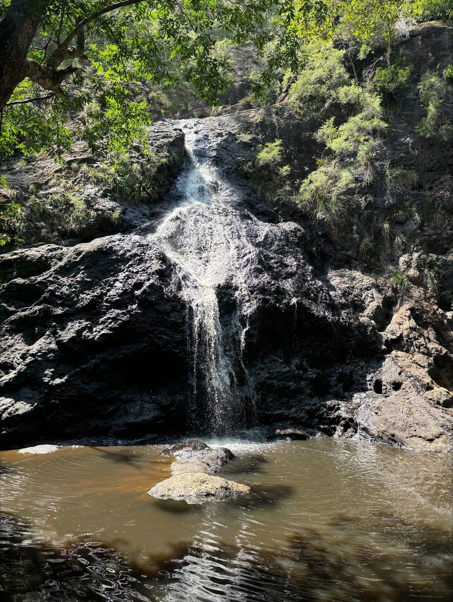 Sunny Jeeps visiting a waterfall by Mapleton National Park, Sunshine Coast, chasing Waterfalls