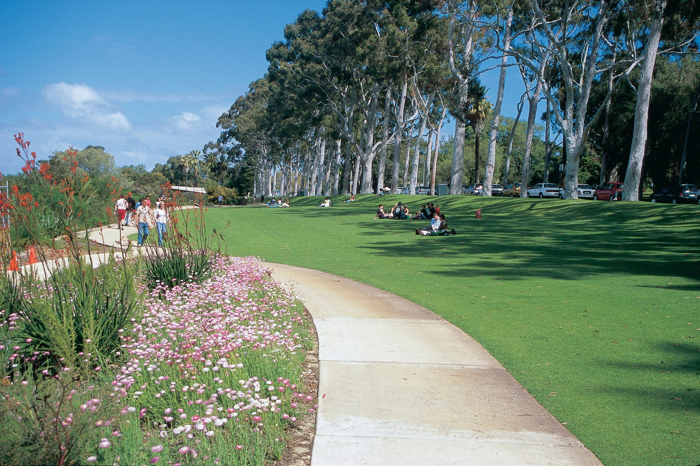 Kings Park and Botanical Garden, Western Australia