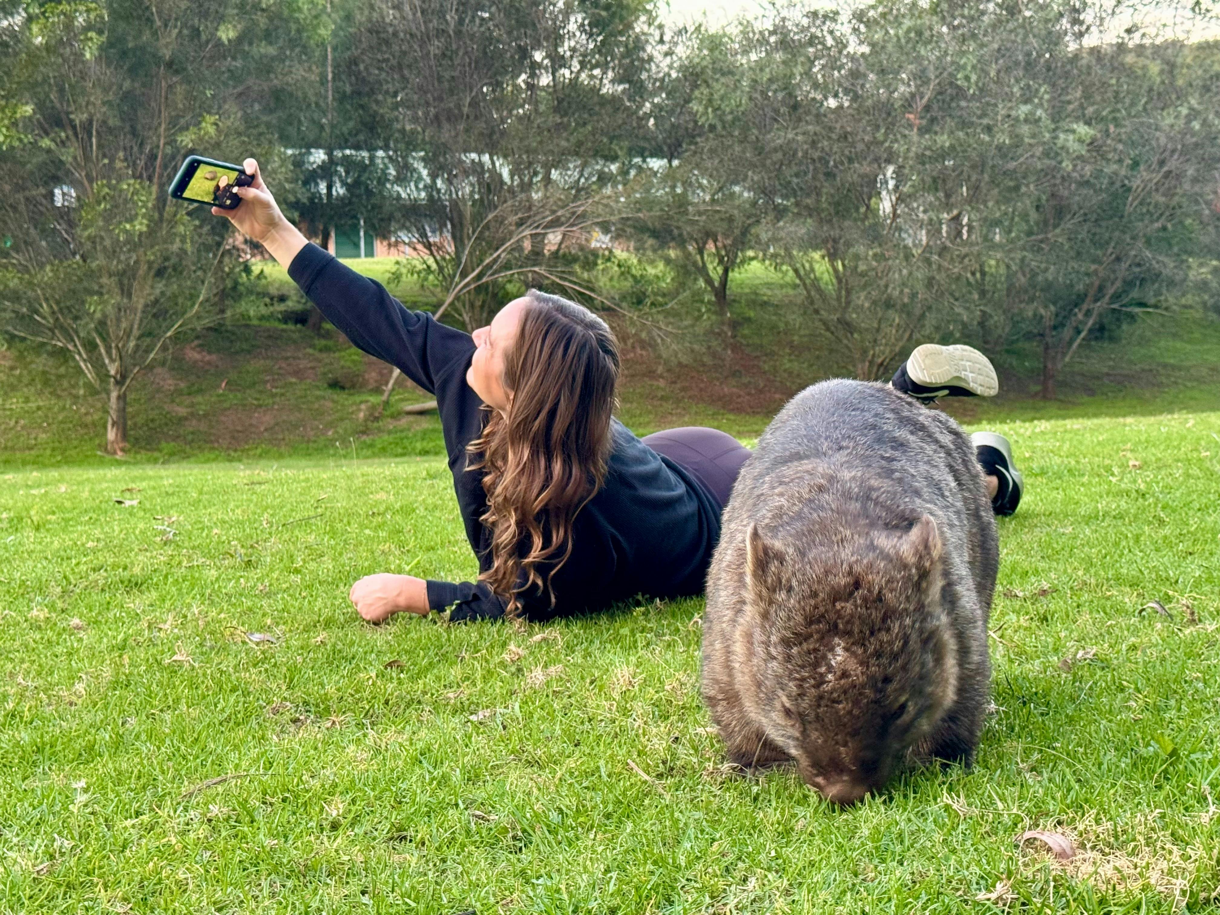 Wild Kangaroo and Wombat Day Tour