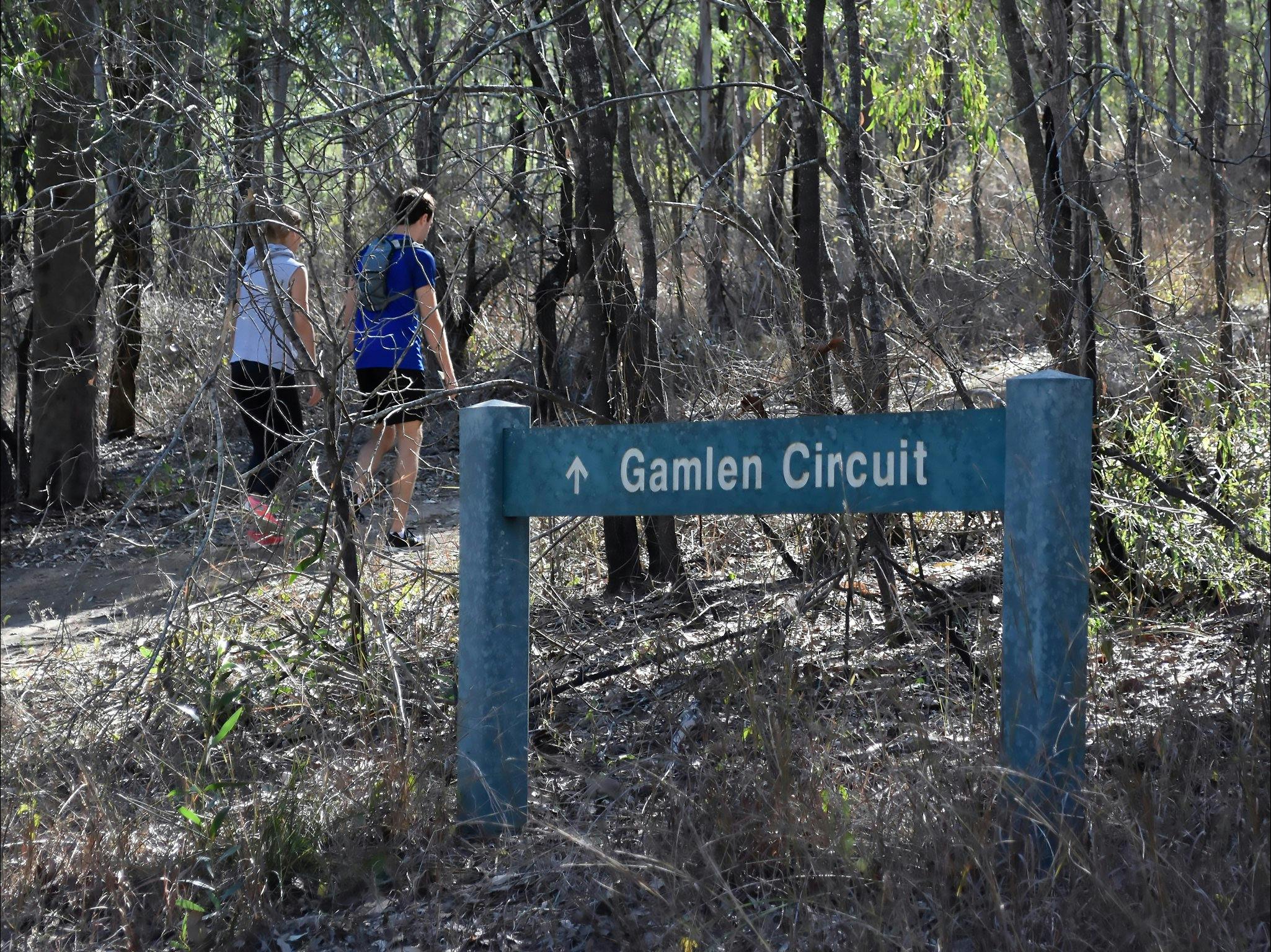Gamlen Circuit