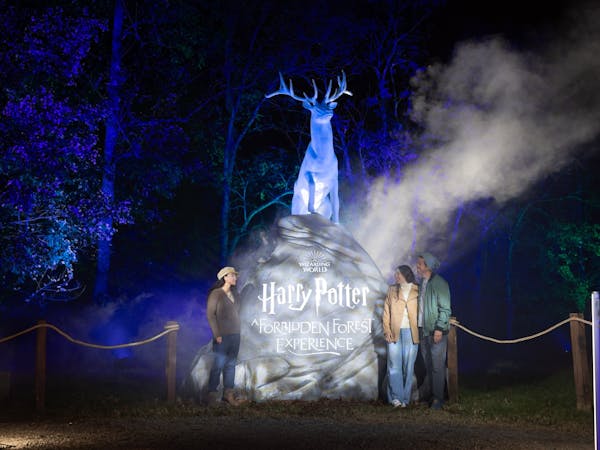 Harry Potter: A Forbidden Forest Experience - Brisbane