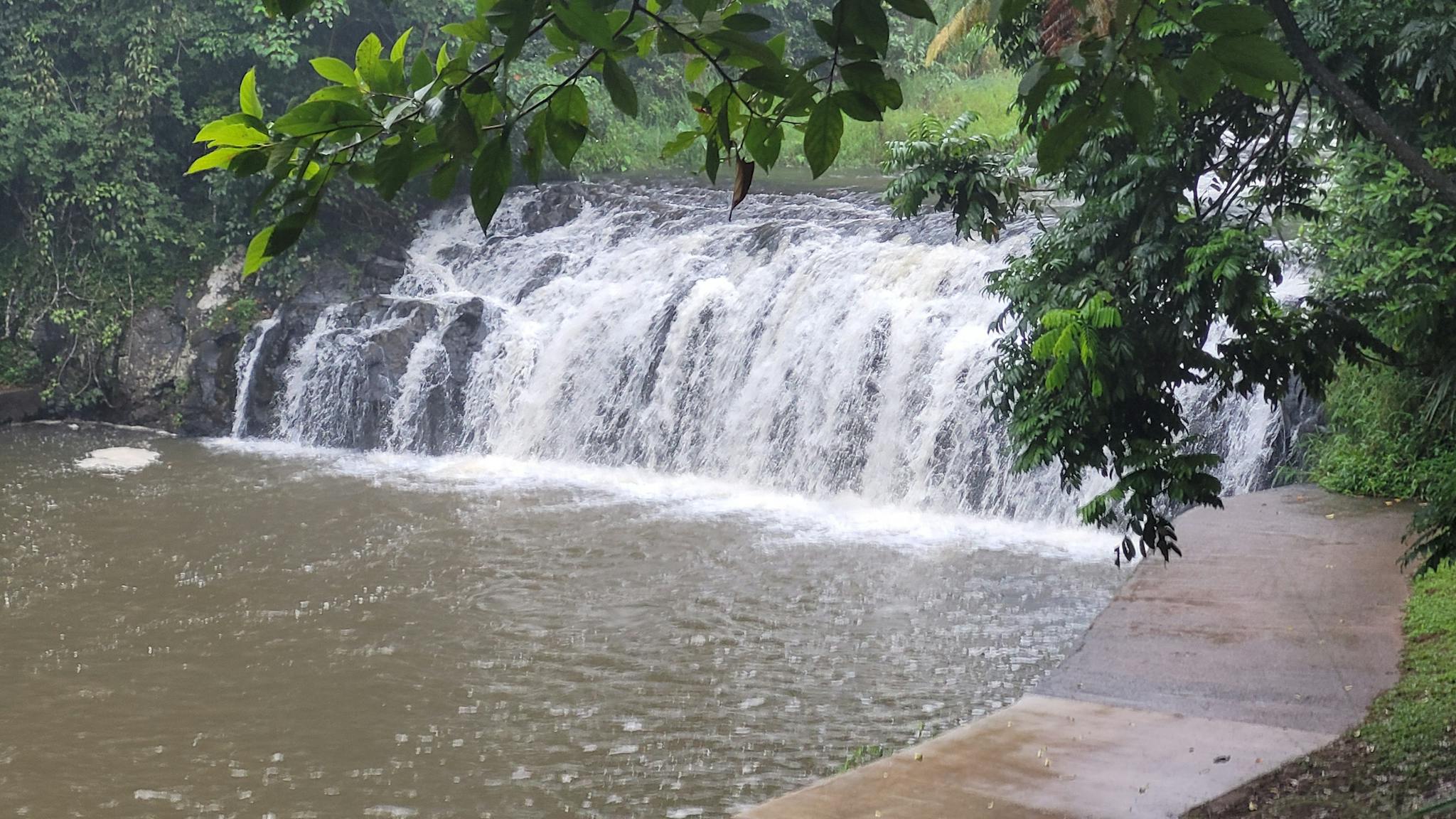 Malanda Falls in January 2022 Malanda Falls in January 2022