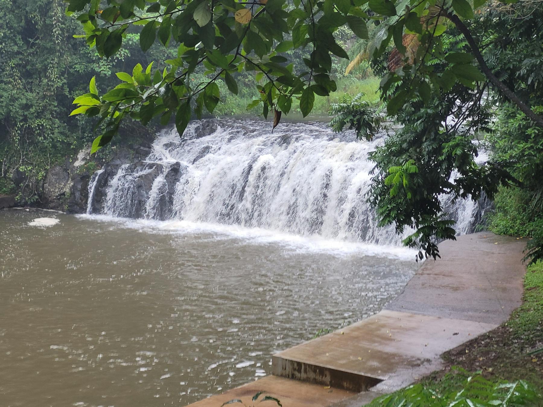 Malanda Falls in January 2022