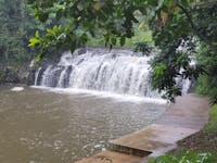 Malanda Falls in January 2022