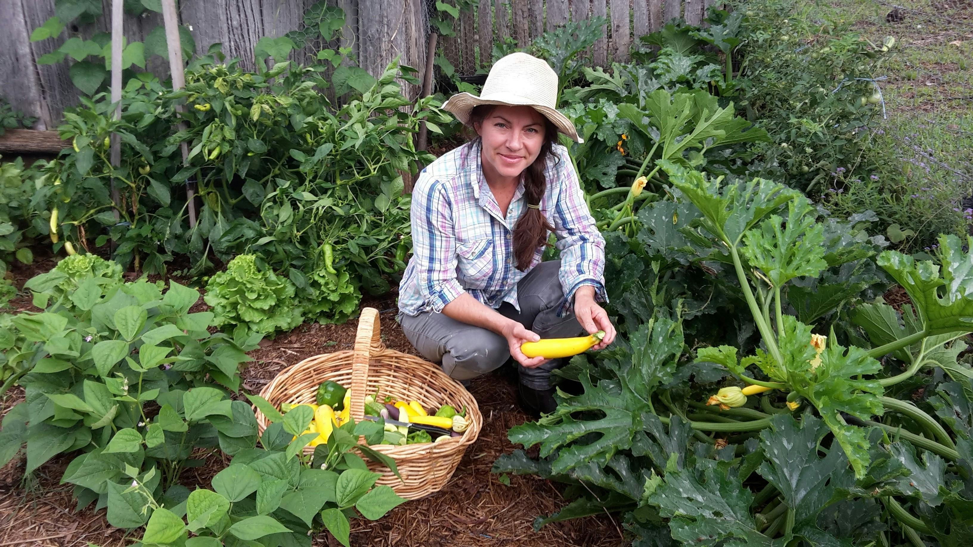 Farmer in the vegetable garden