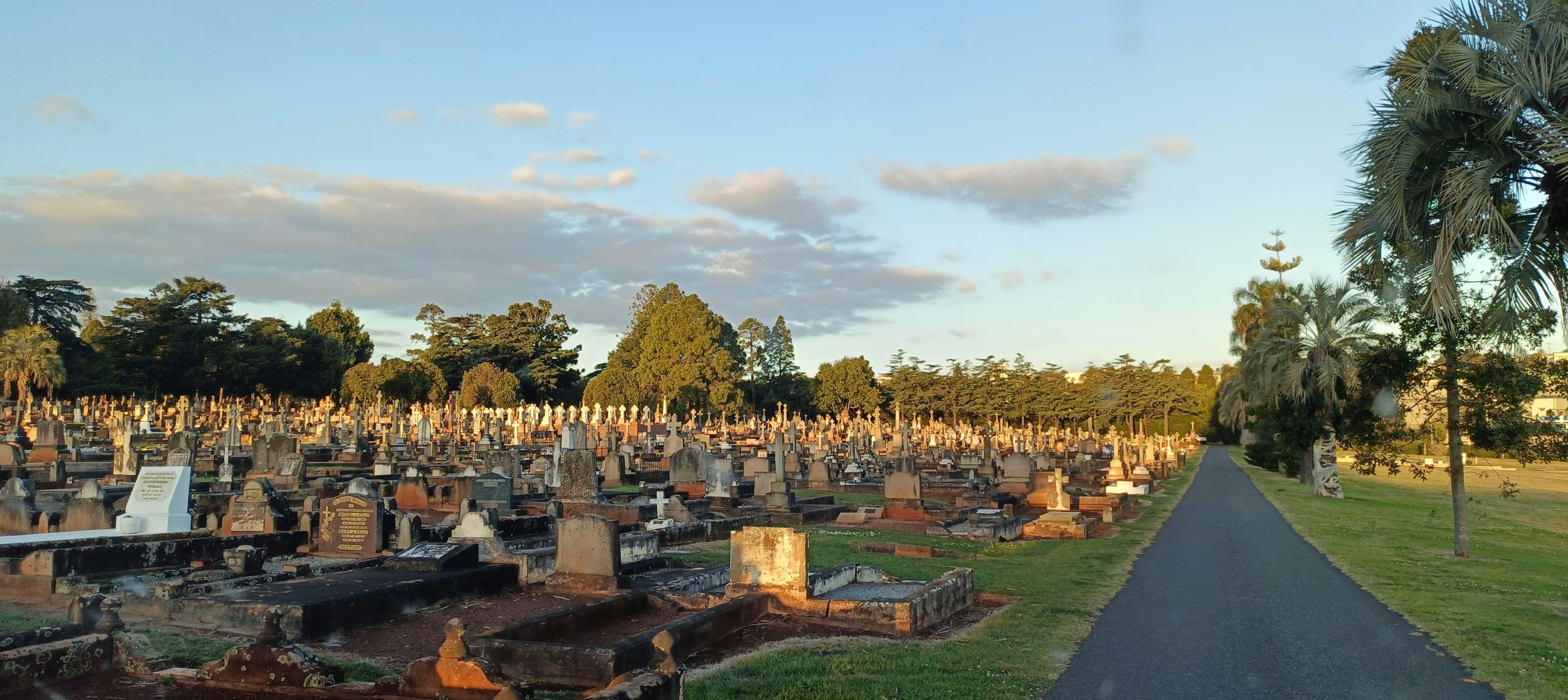 A  large number of graves with trees and blue skies in the background
