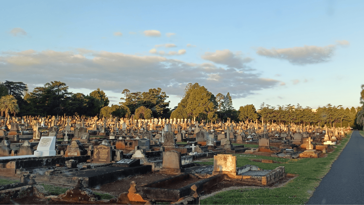 A  large number of graves with trees and blue skies in the background
