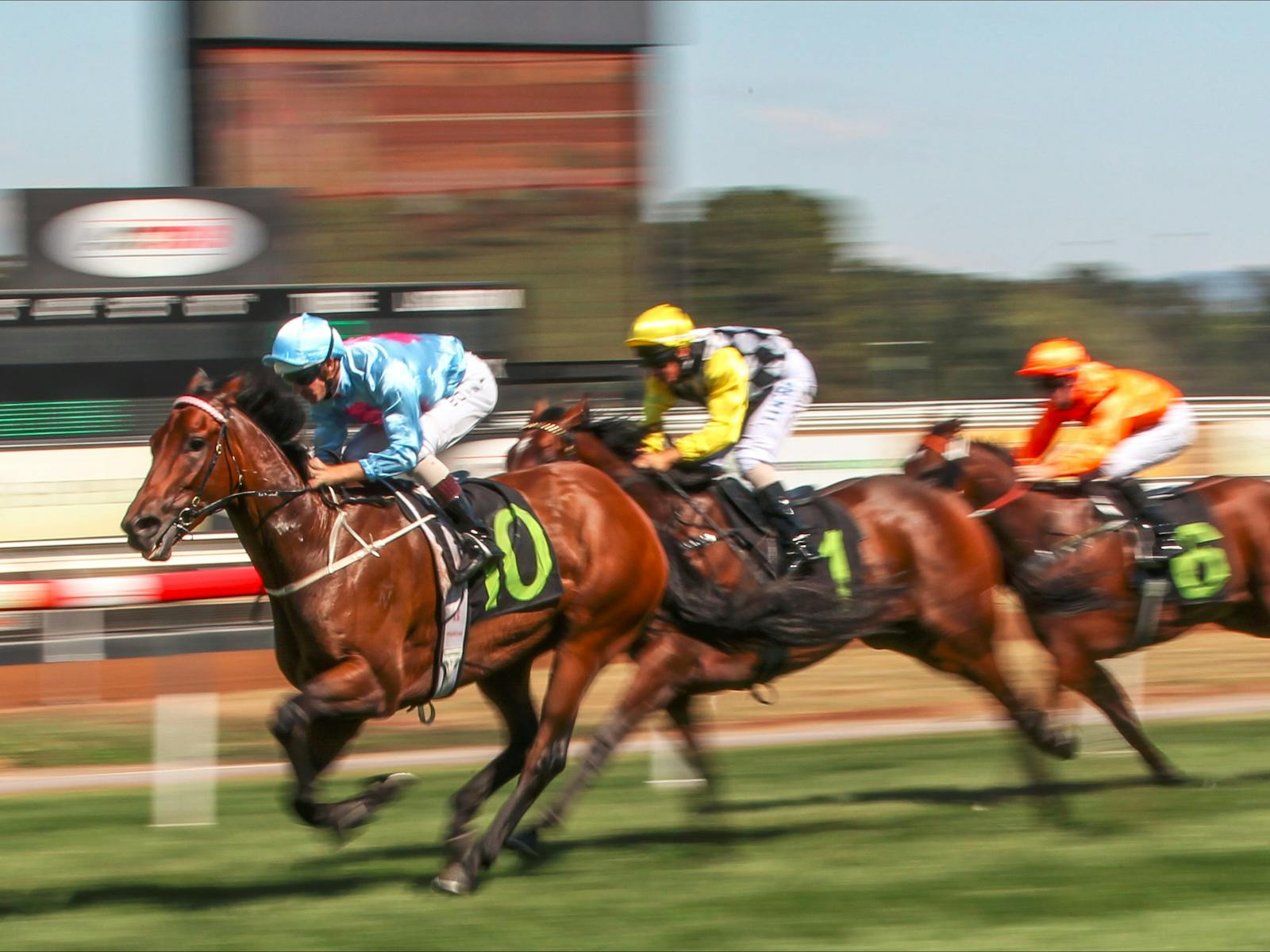 Image for 2021 Canberra Racing Carnival