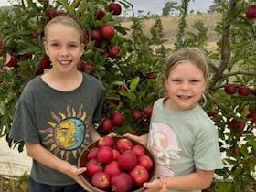 Two children holding a basket of lovely red apples