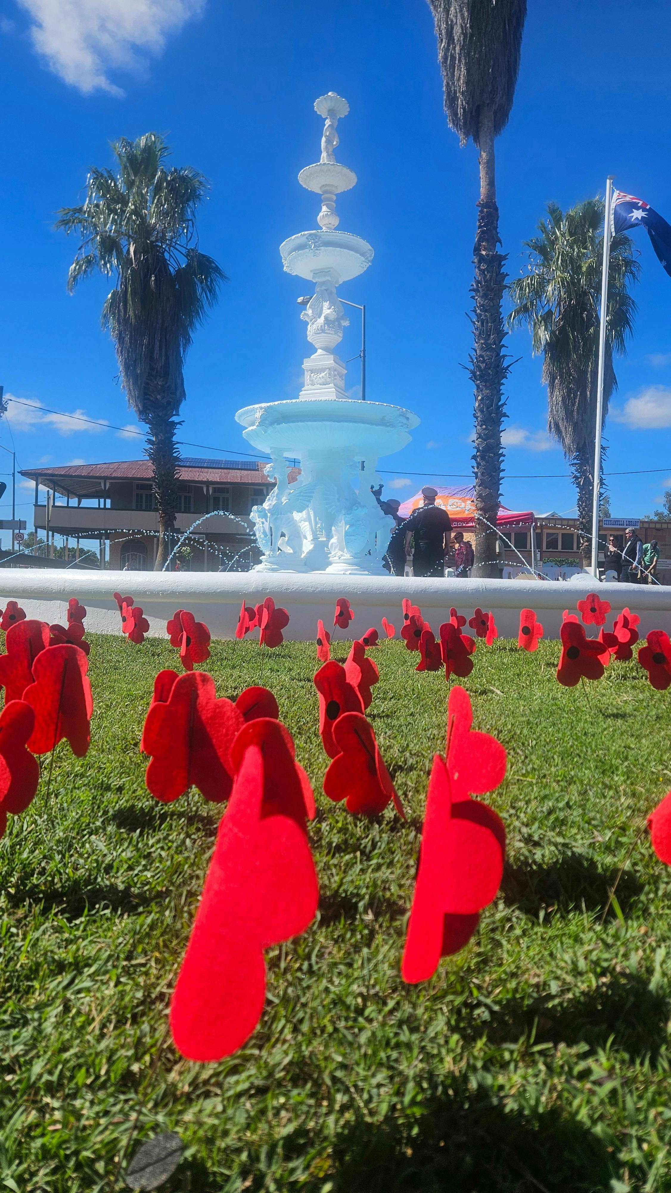 Anzac Day Poppies 2025