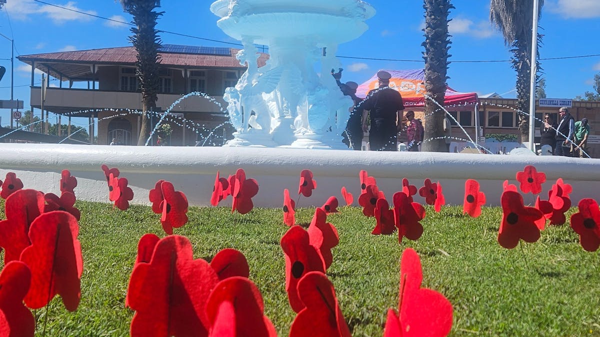 Anzac Day Poppies 2025