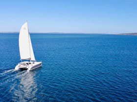 See dolphins and taste seafood on a luxury yacht tour in Coffin Bay, Eyre Peninsula, South Australia