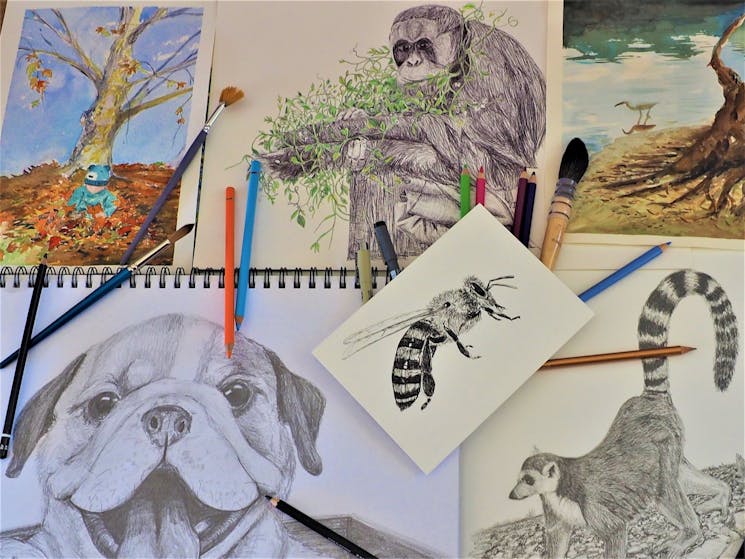 Evening Art Classes