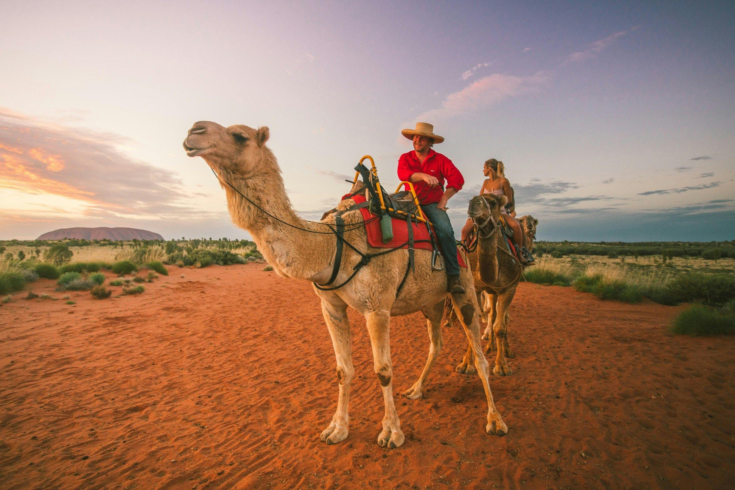 On tour with Uluru camel tours