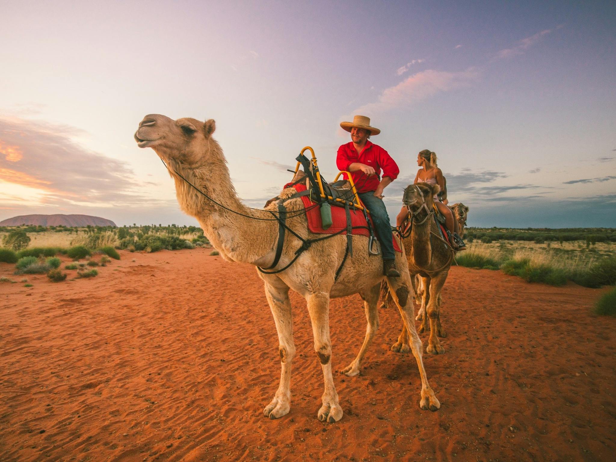 On tour with Uluru camel tours