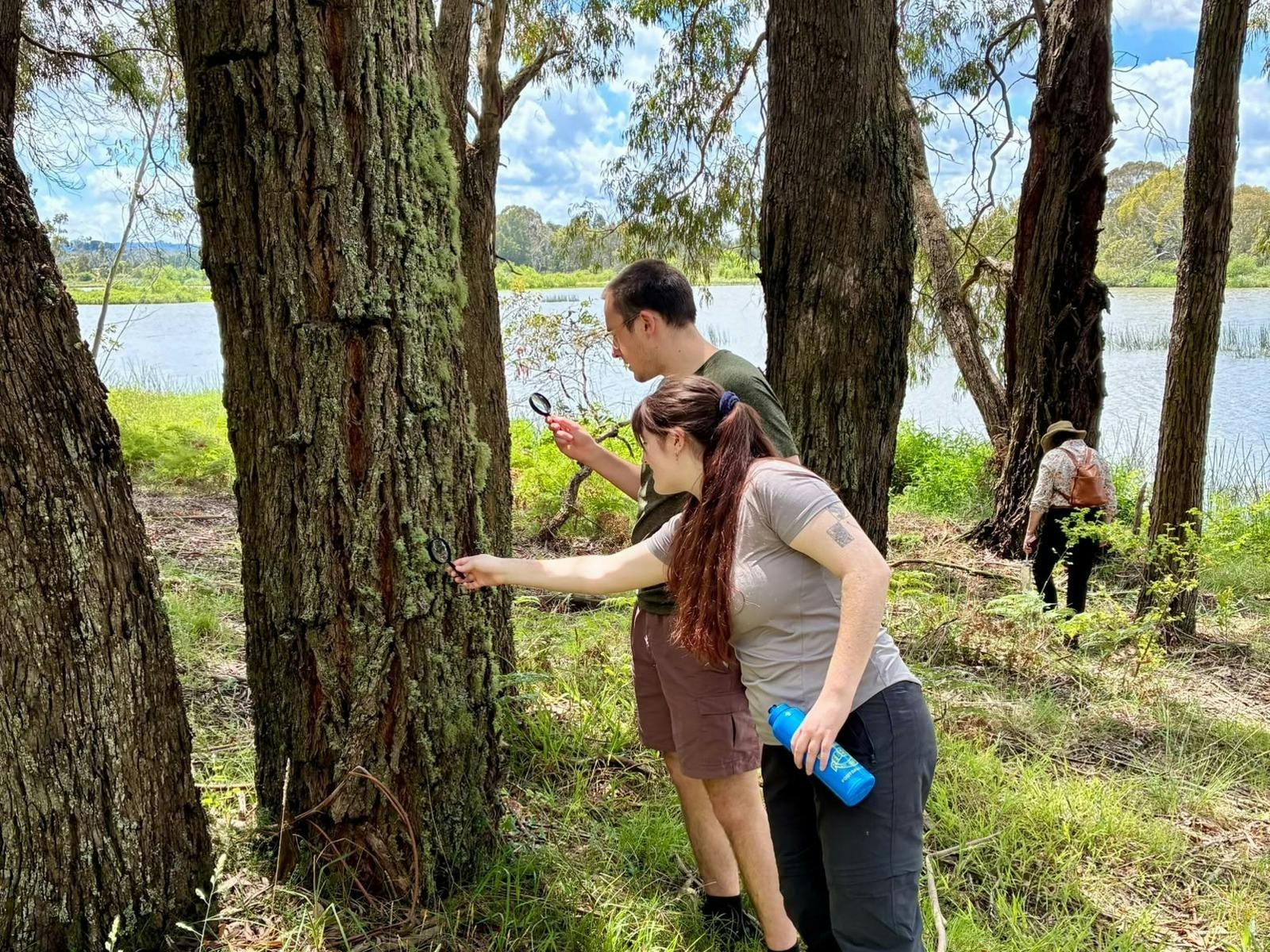Exploring Trees in a Magnified Moment