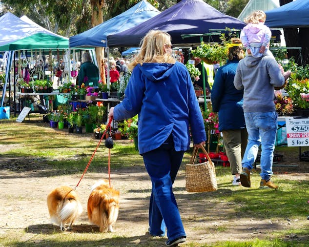 SA Spring Garden Festival Mt Pleasant 2020
