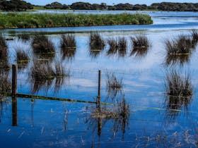 Lake Frome Conservation Park