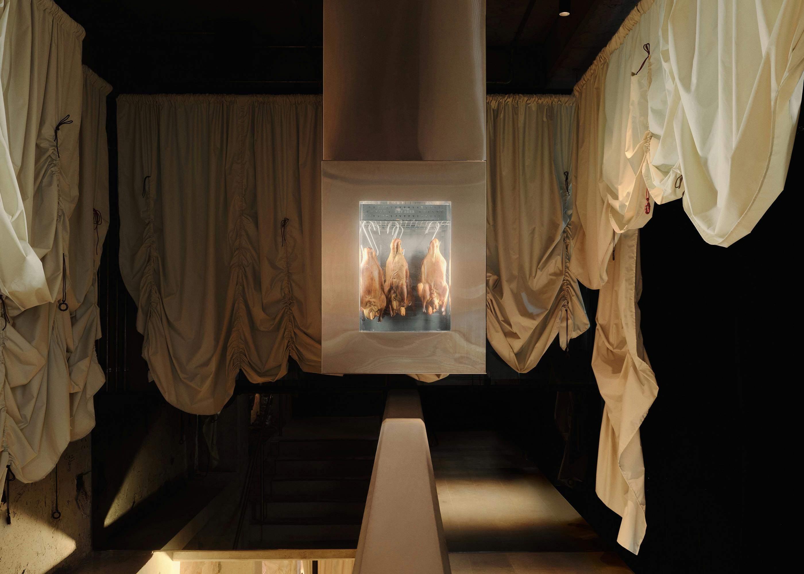 Hanging Duck at Central